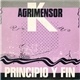 Agrimensor K - Principio Y Fin